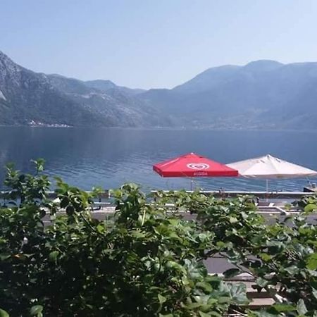 Apartments Dabovic Kotor Eksteriør billede