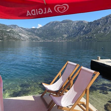 Apartments Dabovic Kotor Eksteriør billede
