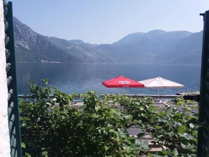 Apartments Dabovic Kotor Eksteriør billede
