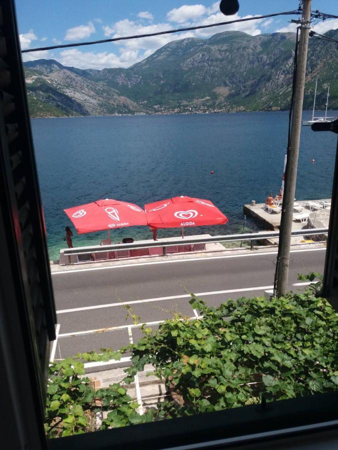 Apartments Dabovic Kotor Eksteriør billede