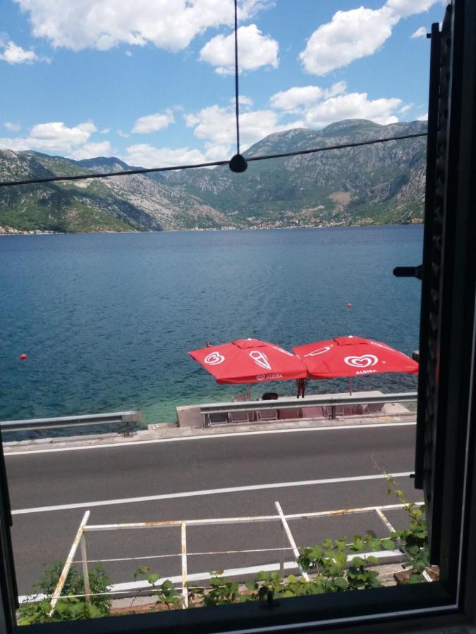 Apartments Dabovic Kotor Eksteriør billede