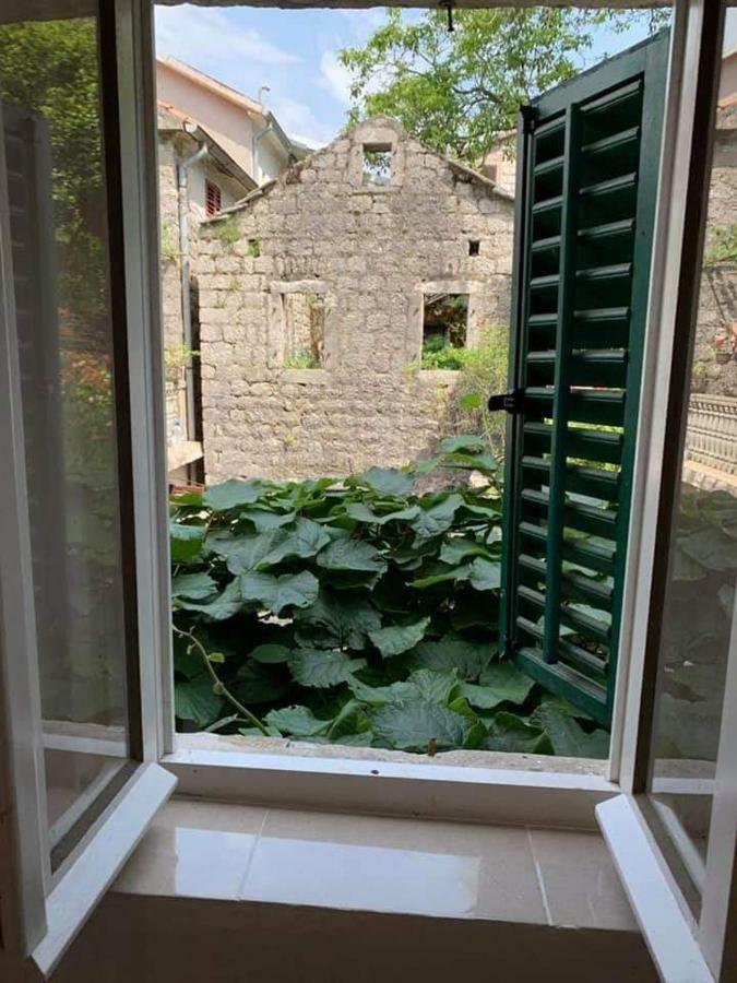 Apartments Dabovic Kotor Eksteriør billede