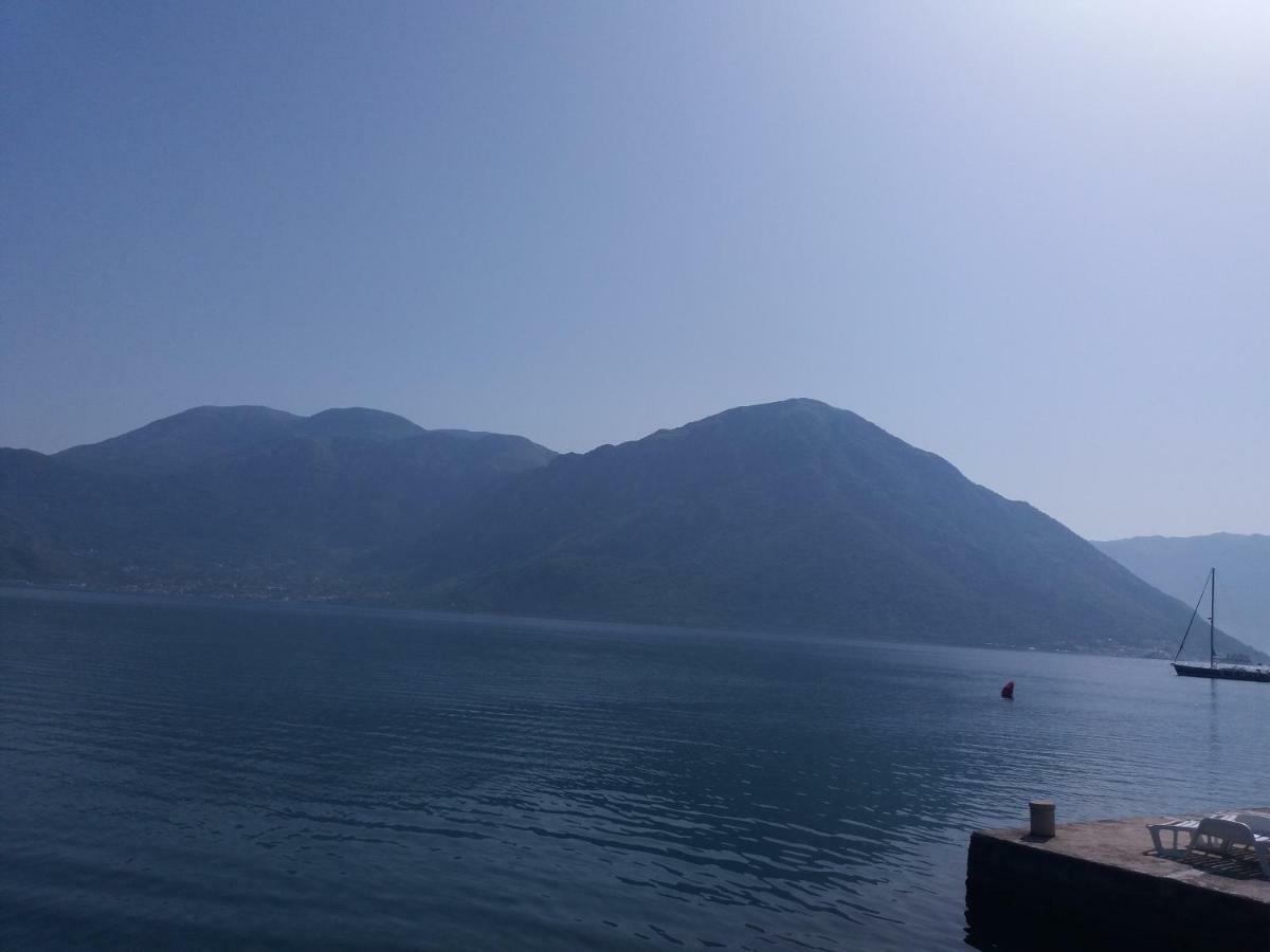 Apartments Dabovic Kotor Værelse billede