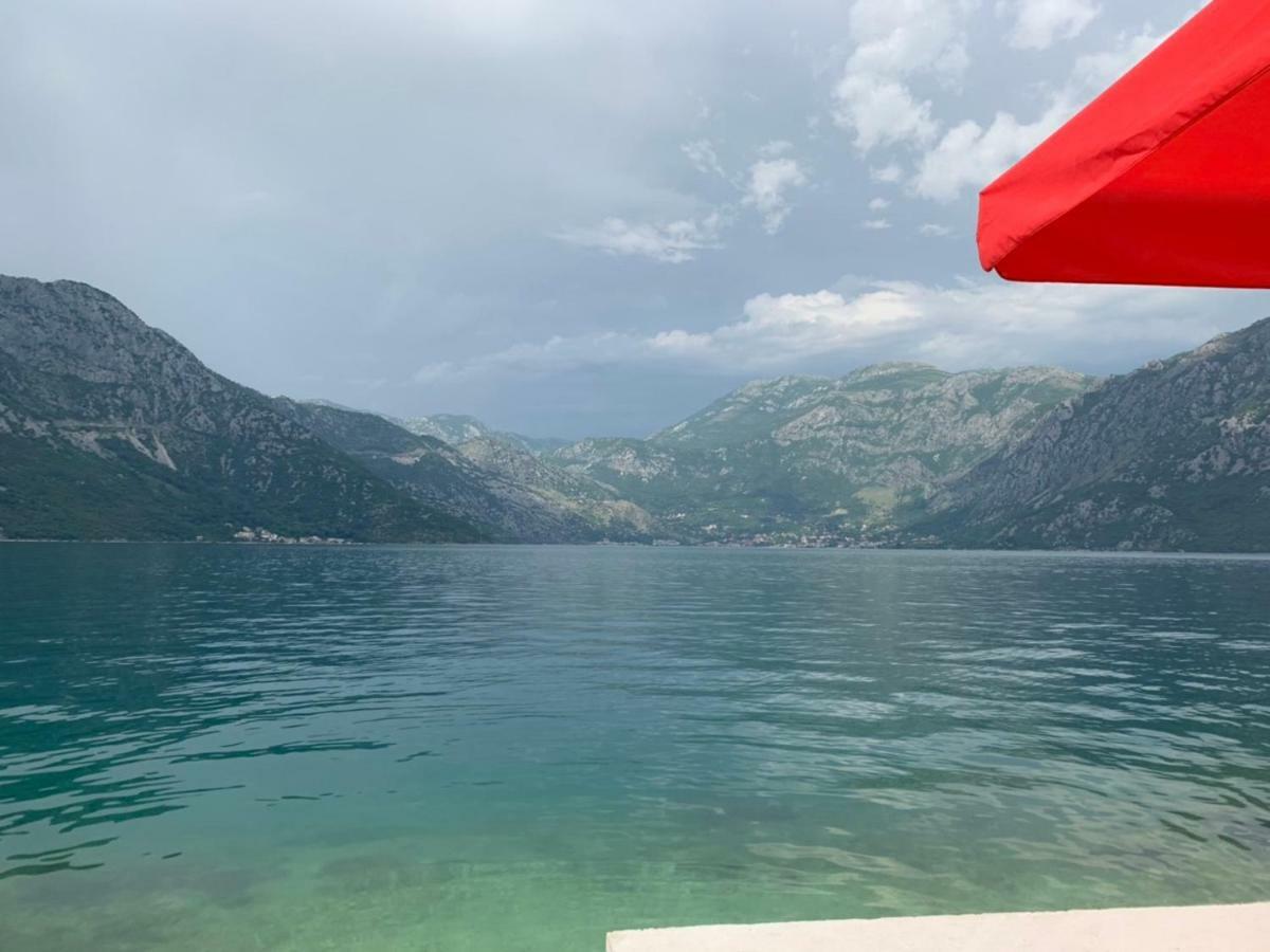 Apartments Dabovic Kotor Værelse billede