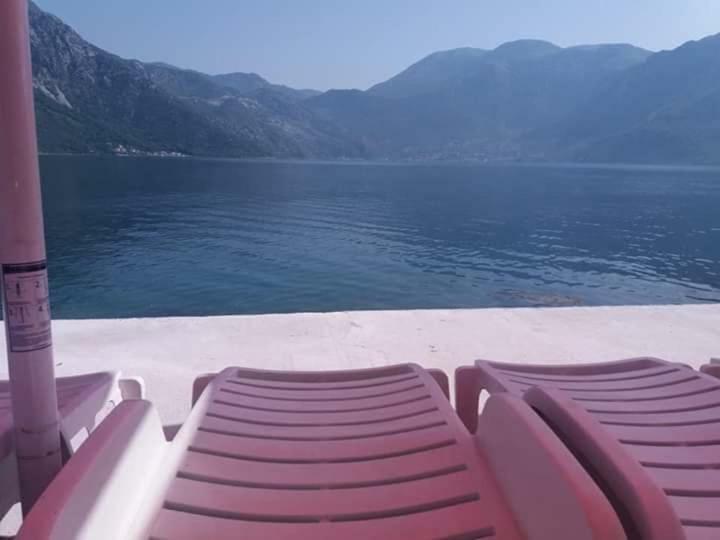 Apartments Dabovic Kotor Eksteriør billede